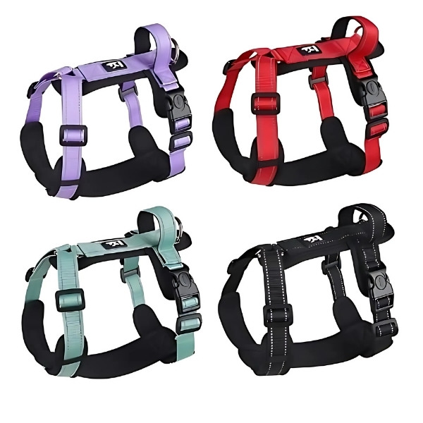arnés-Aéro-Comfort-para-perro-presentación-perro-púrpura-verde-rojo-negro