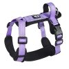 Morado