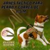 arnés-chihuahua-con-correa