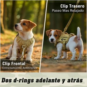 arnés-chiwawa-opaskymexico-bosque