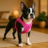 arnés-chihuahua-rosa-opaskymexico