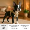 arnés-chihuahua-talla