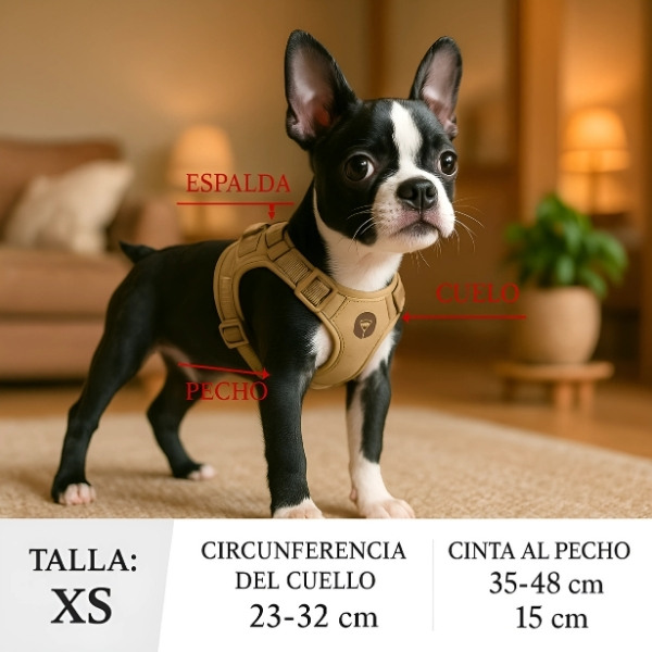 arnés-chihuahua-talla