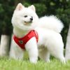 arnés cómodo para perro presentación rojo