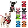 arnés cómodo para perros multi color