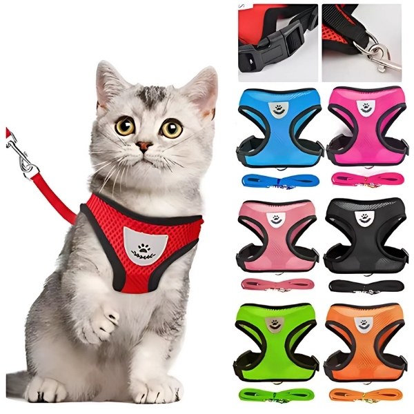 arnés para gato