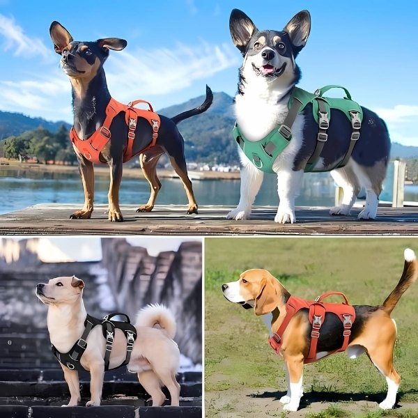 arnés-para-perro-duradero