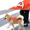 arnés-para-perro-duradero-camina