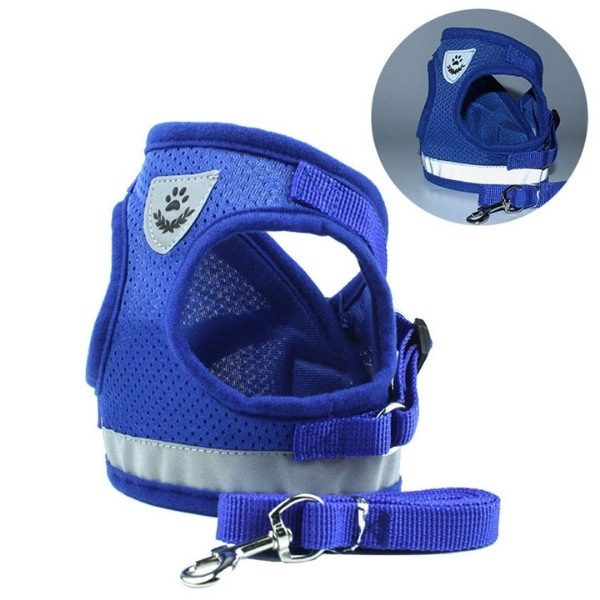 arnés pata azul