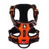 Naranja negro