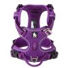 Morado