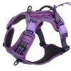 Morado