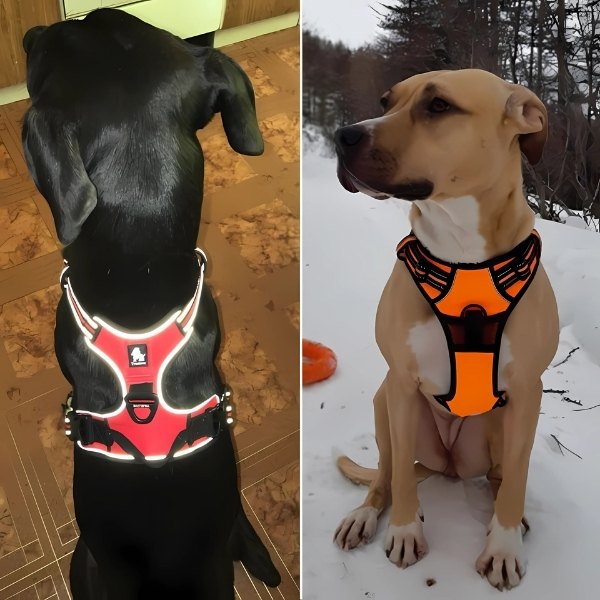 arnés-truelove-para-perro-reflectante-nieve