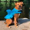 chaleco-salvavidas-para-perros-tiburones-azul-grande