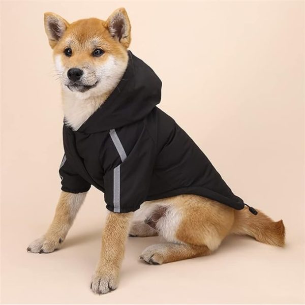 chaqueta invierno negro