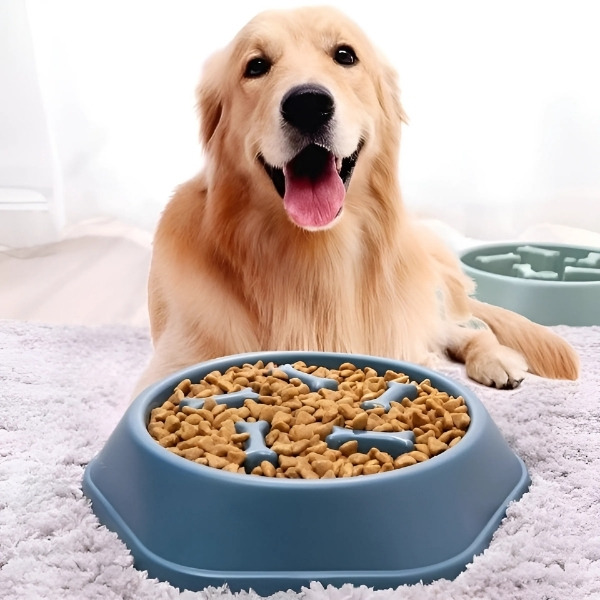 cuenco-anti-glotón-perro-comido-azul-comida
