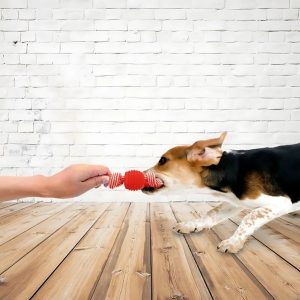 pelota con cuerda de doble nudo juegos interactivos