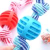 pelota con cuerda de doble nudo rojo azul para perro