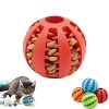 pelota-dental-interactiva-para-gato