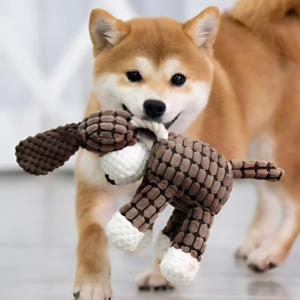 peluche-para-morder-perro-para-perro