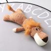 peluche-para-perro-leon-presentación