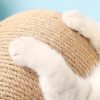 Juguete-Rascador-para-Gatos-pelota