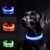 collar luminoso para perro azul rojo verde