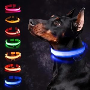 collar luminoso para perro azul rojo verde rosa naranja negro amarillo
