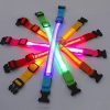 collar luminoso para perro siete colores