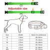 collar luminoso para perro talla