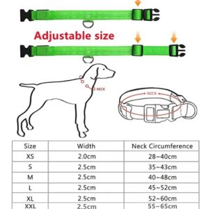 collar luminoso para perro talla