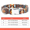 collar mexicano para perro tallas black