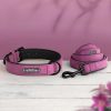 collar-para-perro-cuero-azul-morado