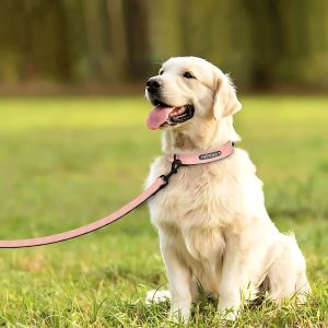collar-para-perro-cuero-azul-rosa-perro