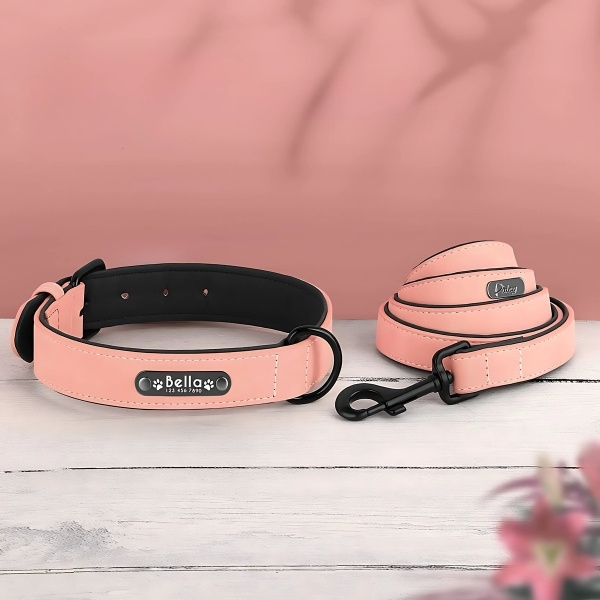 collar-para-perro-cuero-azul-rosa-presentación