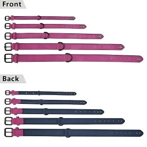 collar-para-perro-cuero-cinco-talla