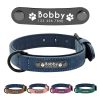 collar-para-perro-cuero-numero-nombre