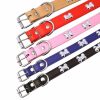 collar de huesos para perro bucle