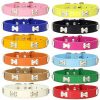 collar de huesos para perro multicolor
