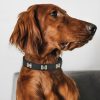 collar para perro patrón de huesos negro presentación