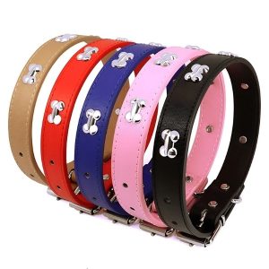 collar para perro patrón de huesos presentación