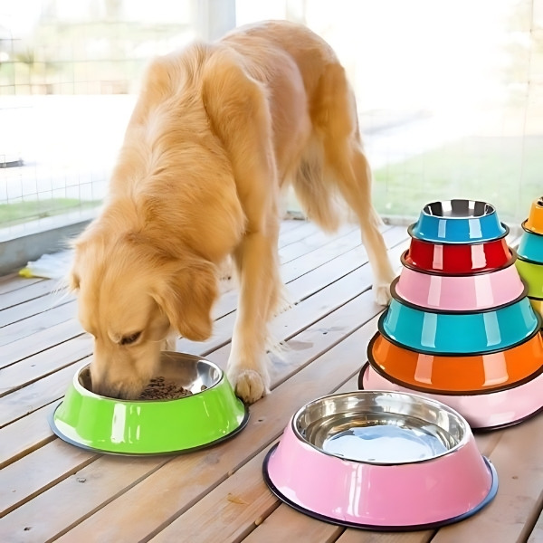 comedero-color-para-perro-multi-color-presentación
