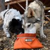 comedero-flexible-para-perros