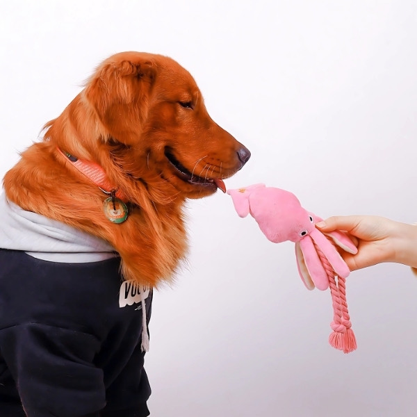 manopulpo-de-peluche-para-perro-tentáculo-amigo