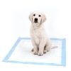 tapete absorbente para pequinito perro