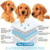 tapetes absorbentes para perro estructura