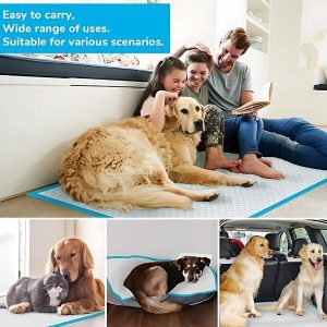tapetes absorbentes para perro fácil
