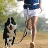 correa-de-cintura-para-perro-manos-libres-para-caminar