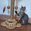 Árbol-rascador-de-madera-natural-para-gato-juega