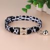 Collar-Personalizado-Rectangular-Para-Gato-negro-presentacion